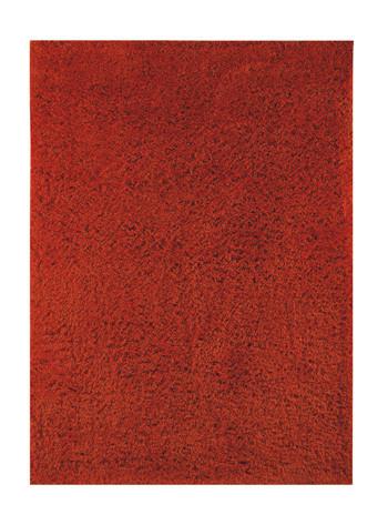 Alonso Rug in 9 Colors